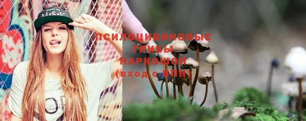 ALPHA PVP Костерёво