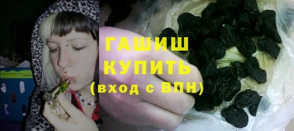 стаф Корсаков