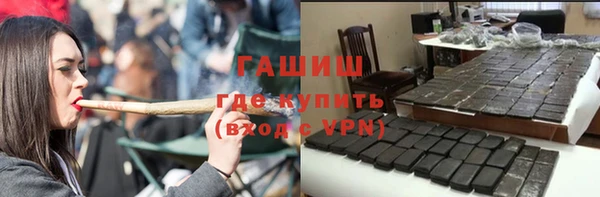 стаф Корсаков