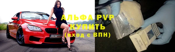 стаф Корсаков