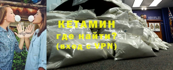 стаф Корсаков