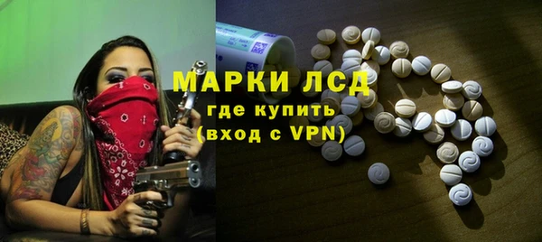 стаф Корсаков