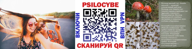 Галлюциногенные грибы Cubensis блэк спрут сайт Медвежьегорск купить